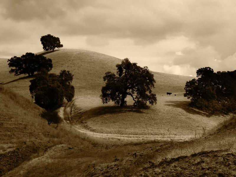 sudoku unique solution screenshot 4